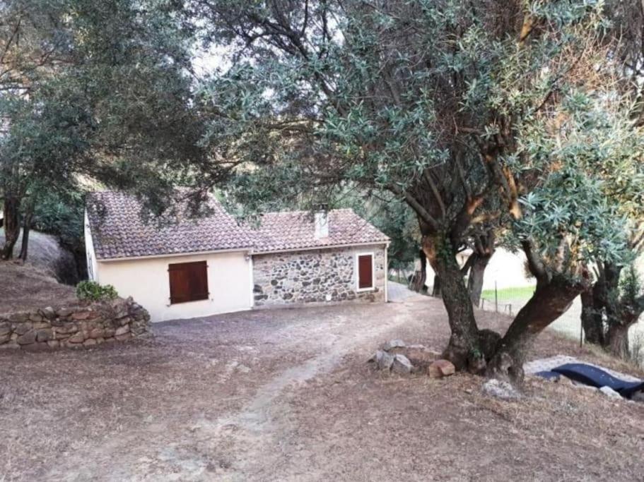 Holiday home Casa Vignola *
