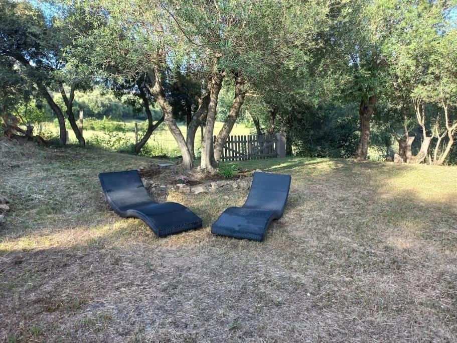 Casa Vignola *